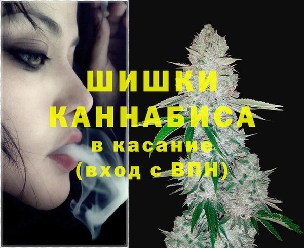 СК Новокубанск