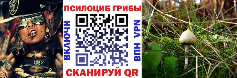Галлюциногенные грибы GOLDEN TEACHER  Ноябрьск 